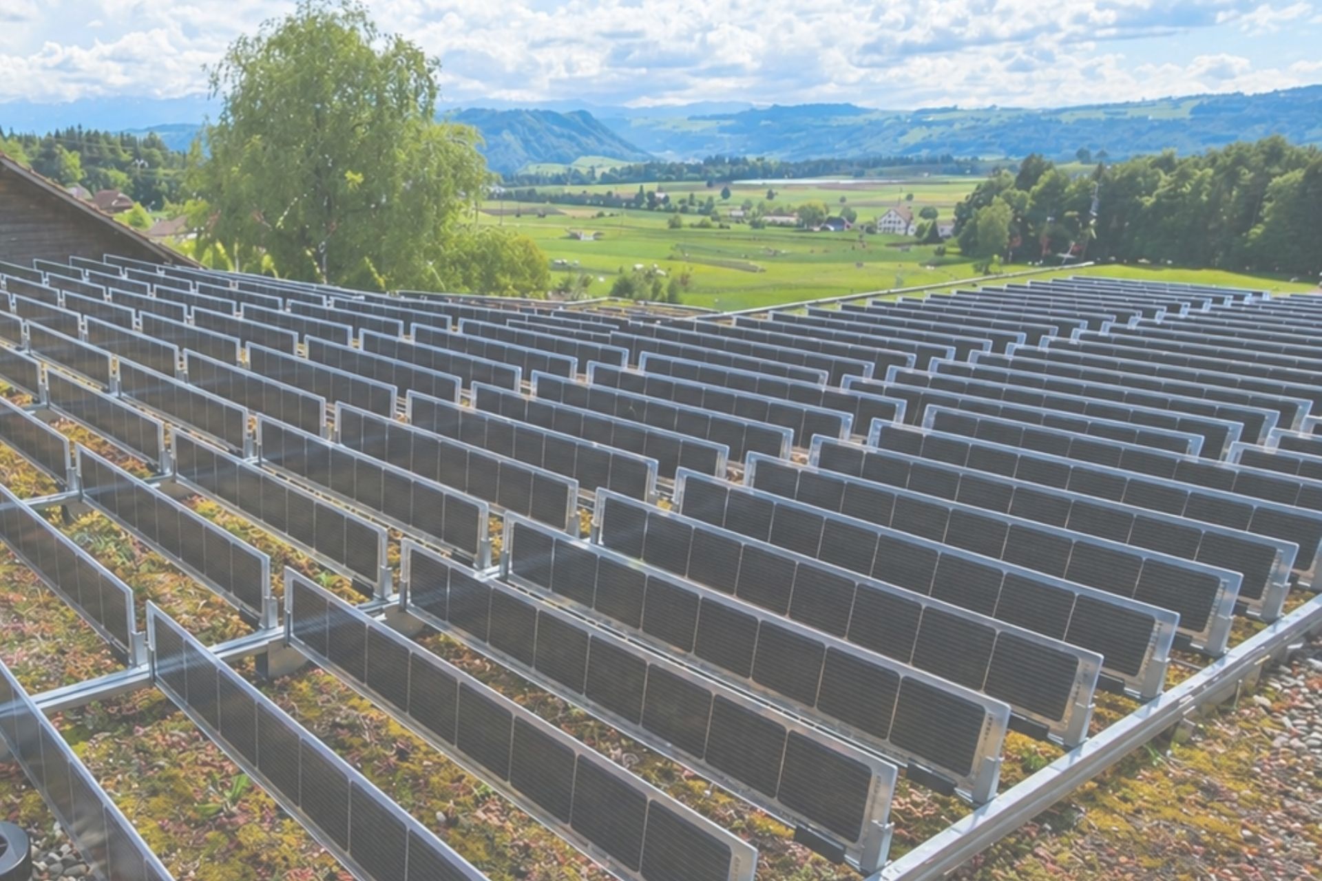 Vertikale Photovoltaik – 
Winterstrom clever genutzt