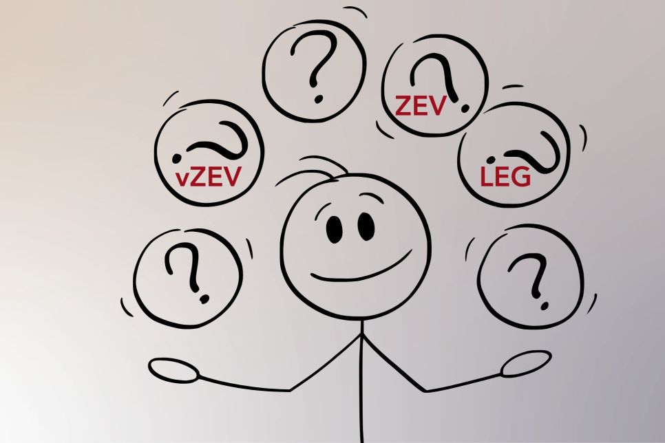 ZEV / vZEV / LEG